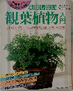 失敗しない　観葉植物入門