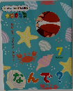たいよう ぴかぴか なんで?  7　なんで?