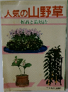 人気の山野草