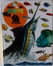 MOVE  魚