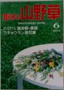 趣味の山野草 1993年6月 no 155