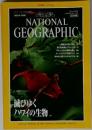 NATIONAL GEOGRAPHIC　日本版 1995年9月号