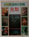 決定版 生物大図鑑  魚類