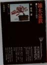 雑木盆栽　仕立て方と観賞