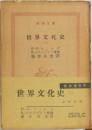 世界文化史　3