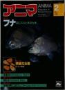 アニマ2　特集　フナ  謎にみちた身近な魚