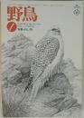 野鳥　1994年 No.565