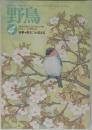 野鳥　1993年4月号　特集・春をつかまえる