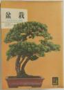 盆栽　自然美の制作と観賞