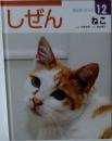 キンダーブック しぜん 12 ねこ