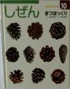 しぜんキンダーブック10　まつぼっくり