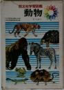 動物