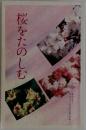桜をたのしむ