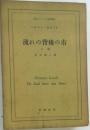 流れの背後の市 上巻 (現代ドイツ文学叢書)