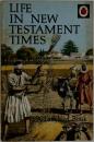 Life in New Testament Times