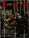 週刊 花百科 43 松と竹 迎春の花木 2004 12.30