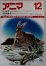 アニマ 12 ANIMA. MAGAZINE OF NATURAL HISTORY