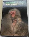 NHK 自然のアルバム 列島に生きる 1 森の人気者