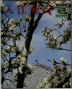昭和写真・全仕事〈series 14〉入江泰吉 　1984年