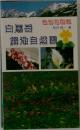 白馬岳栂池自然園　色別花図鑑