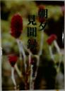朝タ　見聞録