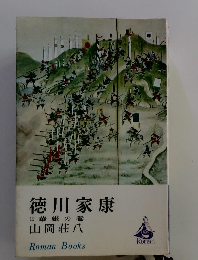 徳川家康 12 華厳の巻