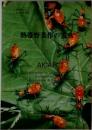 熱帯野菜作の害虫