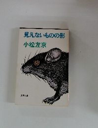 見えないものの影