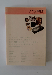 ネコの履歴書「19人のそれぞれの猫たち」