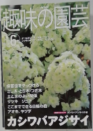 NHK趣味の園芸　2001年6月号