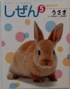 しぜん 5 うさぎ