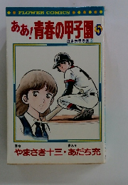 ああ!青春の甲子園 5　泣き虫甲子園 3
