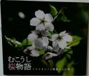 むこうし桜物語