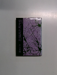 南北朝石見軍記