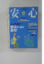 安心　2007年6月