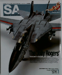 月刊 スケールアヴィエーション 2010/1