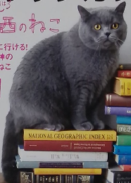 月刊サヴィ　2014年4月号