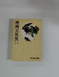 神州天馬３