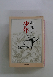 少年