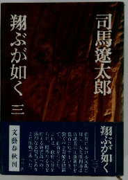 翔ぶが如く 三