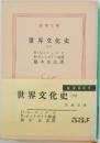世界文化史　6