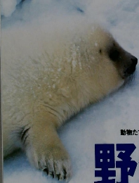 SINRA　1999年3月号