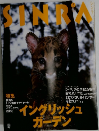 シンラ　1996年3月号