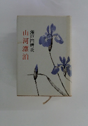 山河漂泊