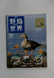 野鳥の世界　７９号　２０１１年9月号
