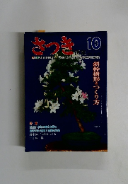 さつき　10