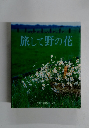 芦野千翠のつみ草アレンジ　旅して野の花