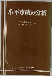 小平市政の分析