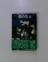 樹の花　2