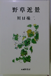 野草近景